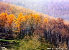 岳麓區(qū)制作企業(yè)網站如何搭建